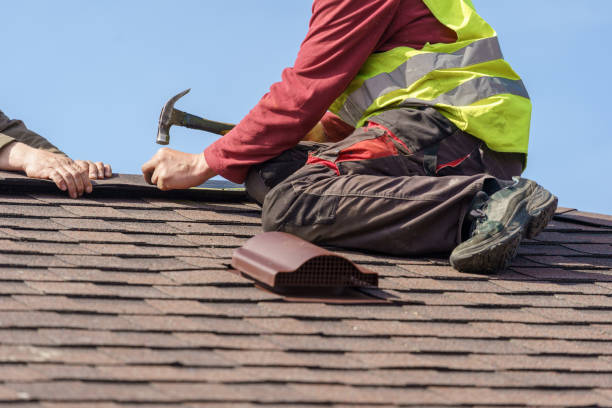 Best Roof Gutter Cleaning  in Ashville, OH